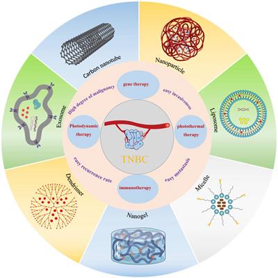 Advances in Doxorubicin-based nano-drug delivery system in triple negative breast cancer